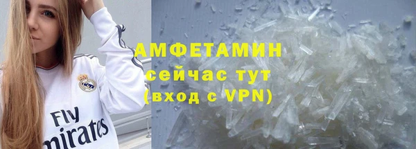 амф Дмитриев