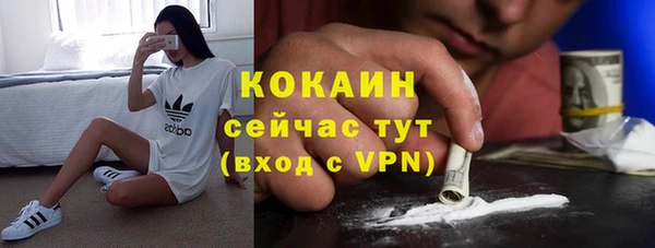 амф Дмитриев