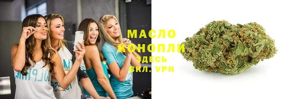 амф Дмитриев