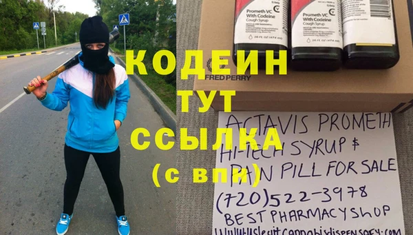 амф Дмитриев