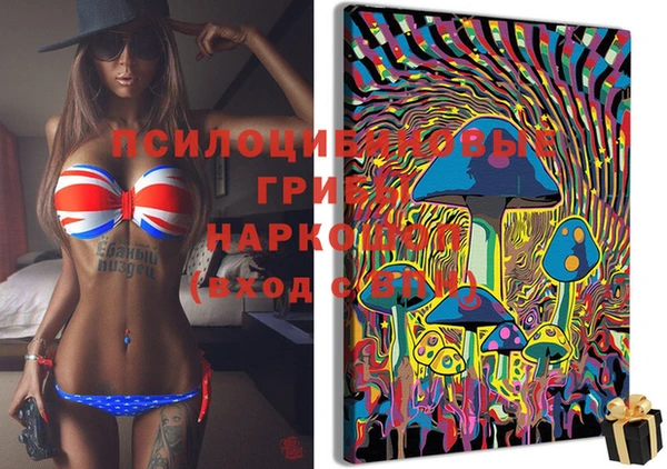дживик Дмитров