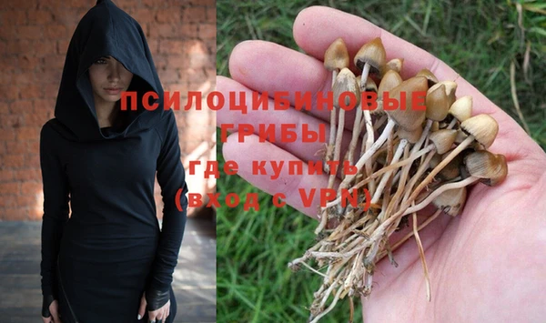 дживик Дмитров