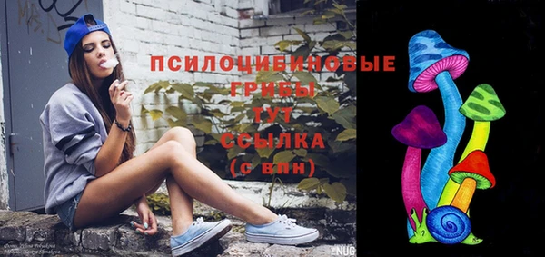 а пвп мука Дмитровск