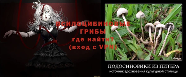 амф Дмитриев