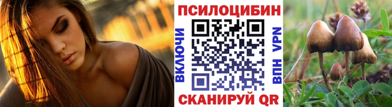 Галлюциногенные грибы Psilocybe  где продают   Хасавюрт 